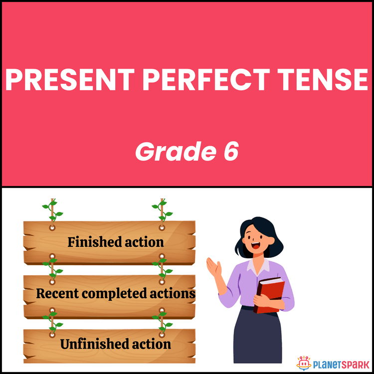 Class 6 English Worksheet on Present Perfect Tense
